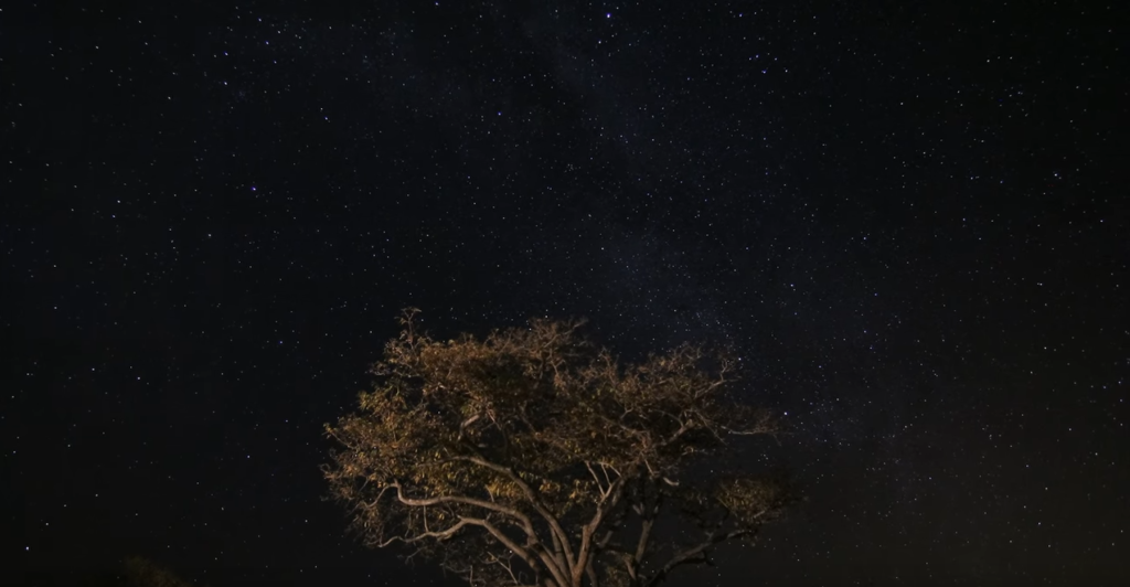 Starlapse at Hwange National Park