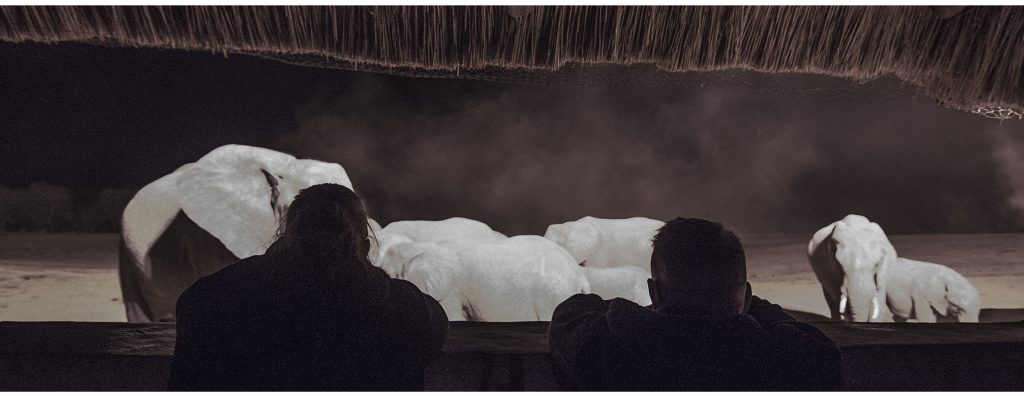 Desktop Backgrounds from Africa