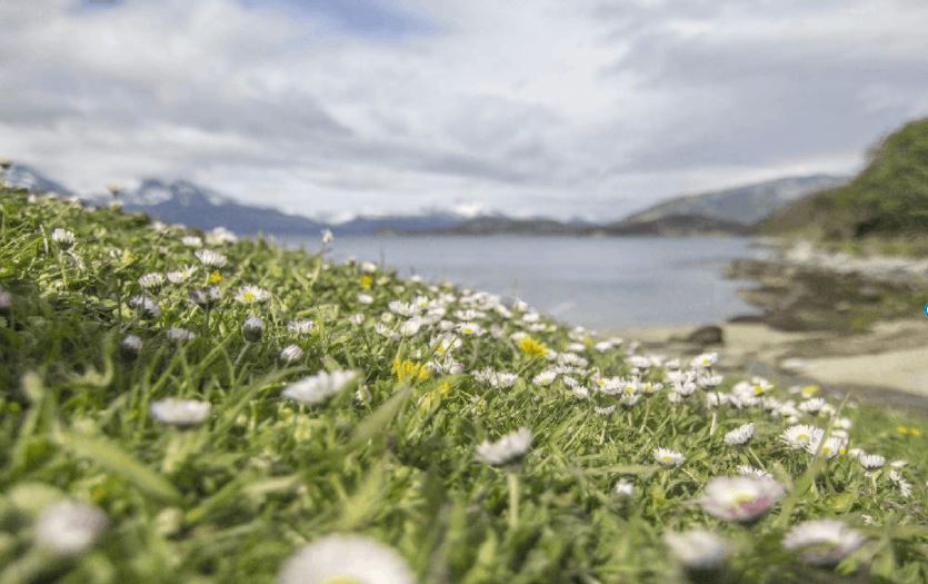 Tierra del Fuego Cinemagraph