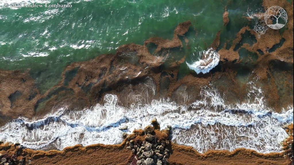 Deerfield Beach Florida, Video and Photography