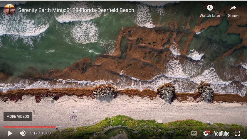 Serenity Earth Minis: S1E3- Deerfield Beach
